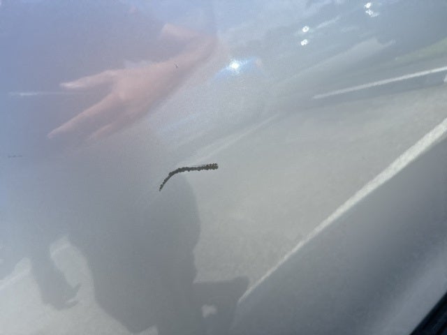 2015 INFINITI QX80 Base